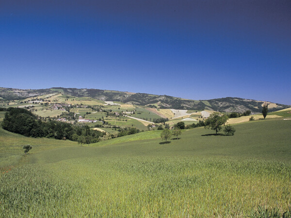 Immagine Castelnovo ne Monti